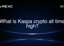 What is Kaspa crypto all time high? What is Kaspa crypto all time high?