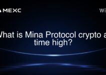 What is Mina Protocol crypto all time high? What is Mina Protocol crypto all time high?