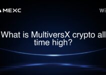 What is MultiversX crypto all time high? What is MultiversX crypto all time high?