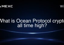 What is Ocean Protocol crypto all time high? What is Ocean Protocol crypto all time high?