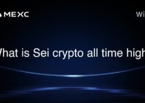 What is Sei crypto all time high? What is Sei crypto all time high?