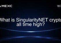 What is SingularityNET crypto all time high? What is SingularityNET crypto all time high?
