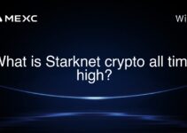 What is Starknet crypto all time high? What is Starknet crypto all time high?