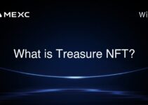 What is Treasure NFT? What is Treasure NFT?