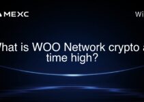 What is WOO Network crypto all time high? What is WOO Network crypto all time high?
