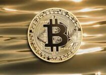 The $2.7 Billion Bitcoin Whale Crash: How 24,000 BTC Triggered $550M in Liquidations The $2.7 Billion Bitcoin Whale Crash: How 24,000 BTC Triggered $550M in Liquidations