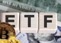 Bitcoin ETFs, Market Confidence & How MEXC Keeps Retail Ahead Bitcoin ETFs, Market Confidence & How MEXC Keeps Retail Ahead