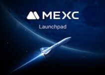 MEXC Launchpad: Which Projects Brought the Biggest Returns? MEXC Launchpad: Which Projects Brought the Biggest Returns?