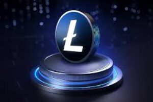 Litecoin Whale Activity Has Increased to Its Highest Level Since July
