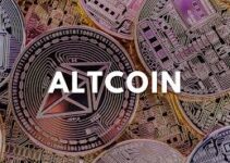 Lisaks Bitcoinile: Kuidas Riskialtius Jõustab Altcoinide Vahetust Lisaks Bitcoinile: Kuidas Riskialtius Jõustab Altcoinide Vahetust