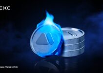 Q3 2025 MX Token Buyback and Burn Q3 2025 MX Token Buyback and Burn