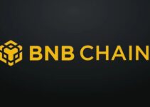 Top Hot & Promising Meme Coins on BNB Chain Top Hot & Promising Meme Coins on BNB Chain