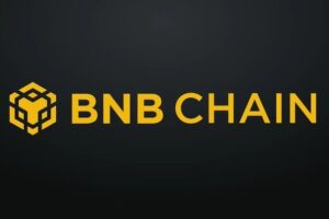Top Hot & Promising Meme Coins on BNB Chain