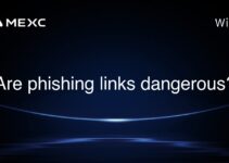 Are phishing links dangerous? Are phishing links dangerous?