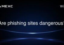 Are phishing sites dangerous? Are phishing sites dangerous?