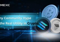 Why Community Hype Is the Real Utility in Crypto Why Community Hype Is the Real Utility in Crypto