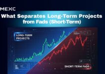 What Separates Long-Term Projects from Fads (Short-Term) What Separates Long-Term Projects from Fads (Short-Term)