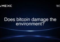 Does bitcoin damage the environment? Does bitcoin damage the environment?