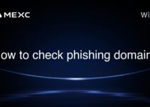 How to check phishing domain? How to check phishing domain?