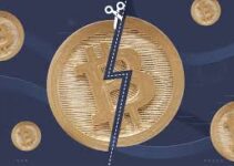 Bitcoin’s Post-Halving Landscape: Key Insights and Market Trends for 2025 Bitcoin’s Post-Halving Landscape: Key Insights and Market Trends for 2025