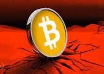 Bitcoin Dumps After Hitting New All-Time Highs: What’s Behind the Crypto Market Correction? Bitcoin Dumps After Hitting New All-Time Highs: What’s Behind the Crypto Market Correction?