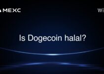 Is Dogecoin halal?