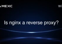 Is nginx a reverse proxy?