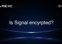 Is Signal encyrpted? Is Signal encyrpted?