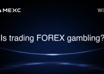 Is trading FOREX gambling? Is trading FOREX gambling?