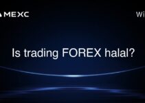 Is trading FOREX halal? Is trading FOREX halal?