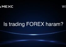 Is trading FOREX haram? Is trading FOREX haram?