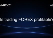 Is trading FOREX profitable? Is trading FOREX profitable?