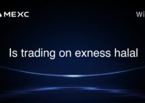 Is trading on exness halal Is trading on exness halal