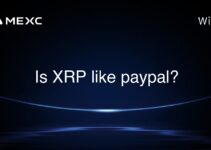 Is XRP like paypal? Is XRP like paypal?