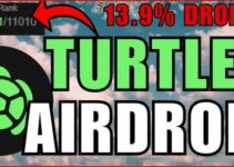 Turtle Airdrop 2025 Guide: How to Claim, and Maximize TURTLE Token Turtle Airdrop 2025 Guide: How to Claim, and Maximize TURTLE Token