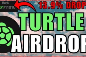 Turtle Airdrop 2025 Guide: How to Claim, and Maximize TURTLE Token