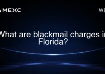 What are blackmail charges in Florida? What are blackmail charges in Florida?