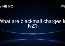 What are blackmail charges in NZ? What are blackmail charges in NZ?
