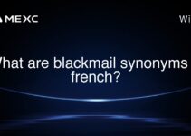 What are blackmail synonyms in french? What are blackmail synonyms in french?