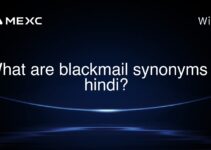 What are blackmail synonyms in hindi? What are blackmail synonyms in hindi?