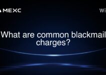 What are common blackmail charges? What are common blackmail charges?