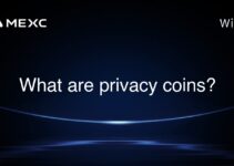 What are privacy coins? What are privacy coins?