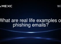 What are real life examples of phishing emails? What are real life examples of phishing emails?