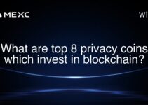 What are top 8 privacy coins which invest in blockchain? What are top 8 privacy coins which invest in blockchain?