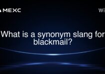 What is a synonym slang for blackmail? What is a synonym slang for blackmail?