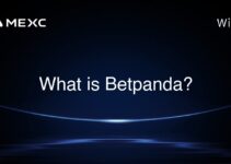 What is Betpanda? What is Betpanda?