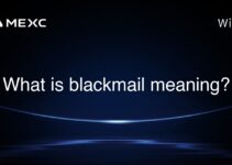 What is blackmail meaning? What is blackmail meaning?