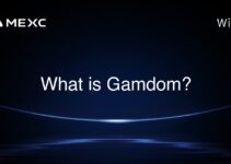 What is Gamdom? What is Gamdom?