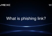 What is phishing link? What is phishing link?