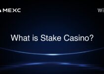 What is Stake Casino? What is Stake Casino?